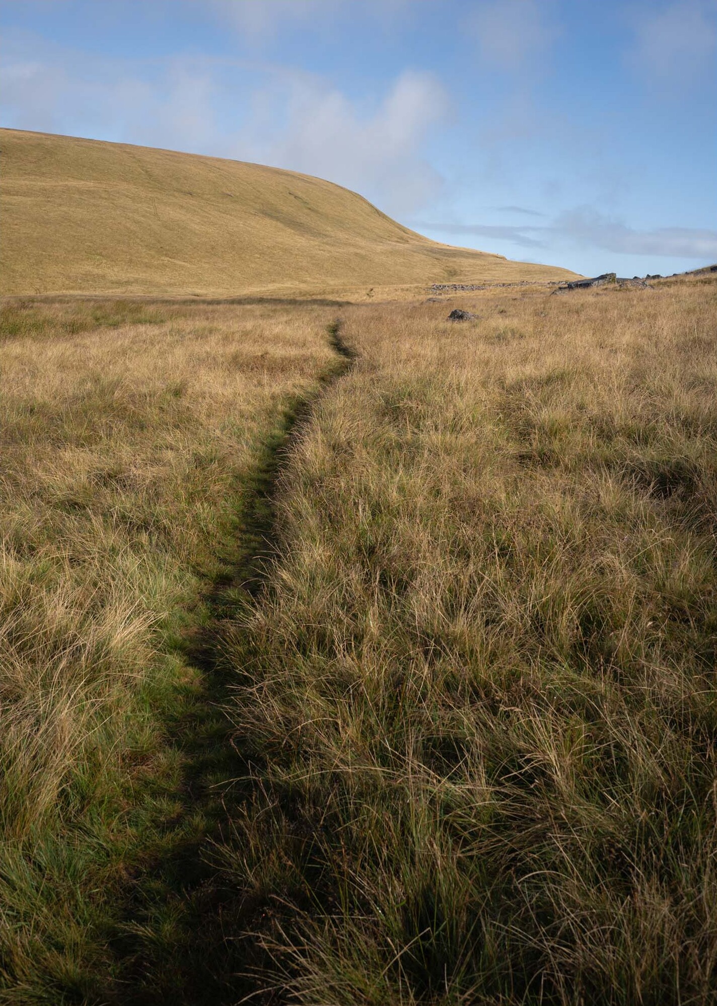 Brecon Beacons: Black Mountain Area