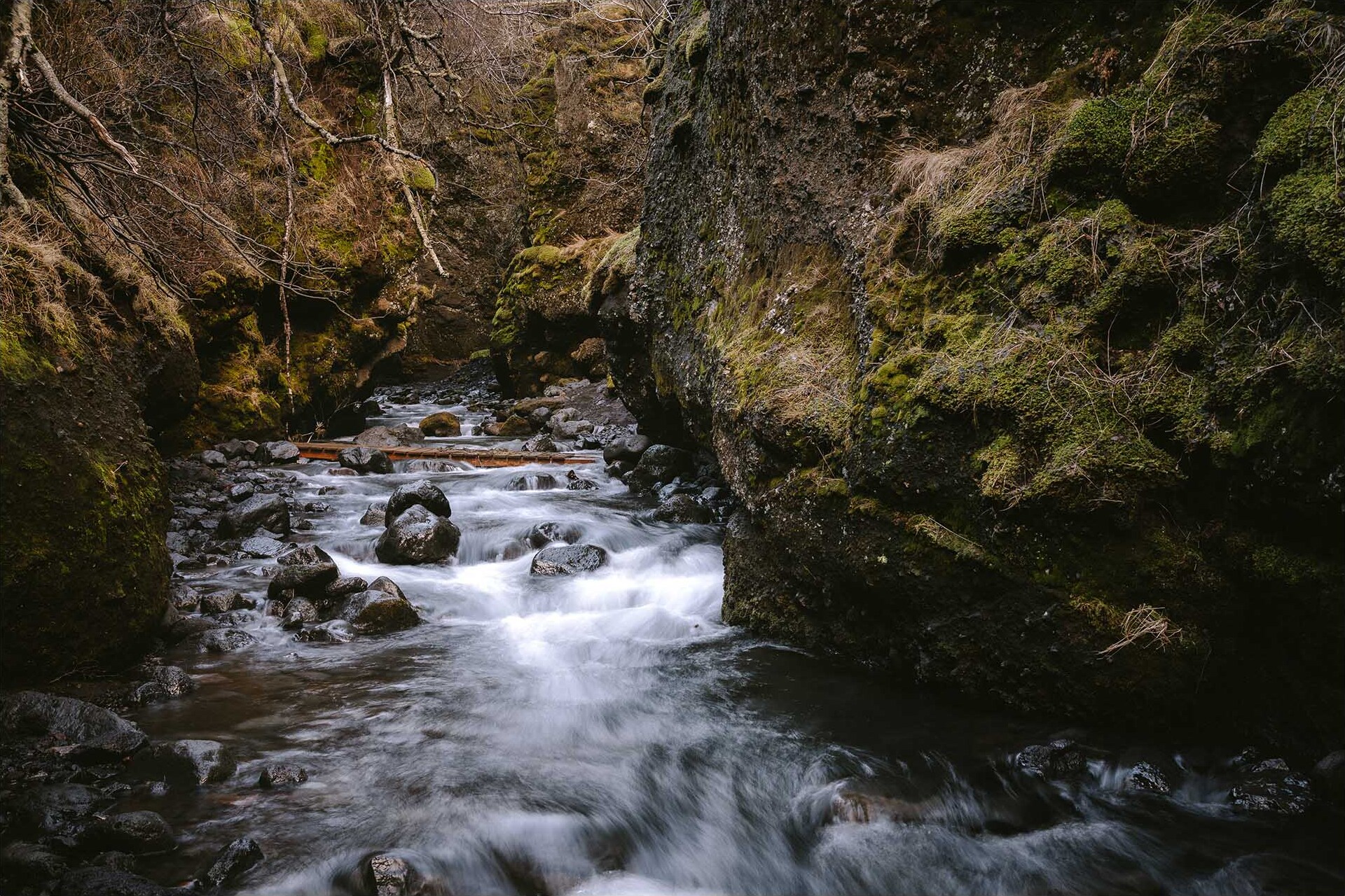 Iceland — Nauthusagil Canyon