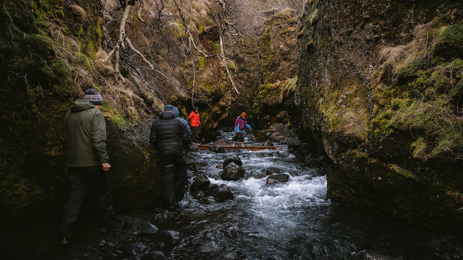 Iceland — Nauthusagil Canyon