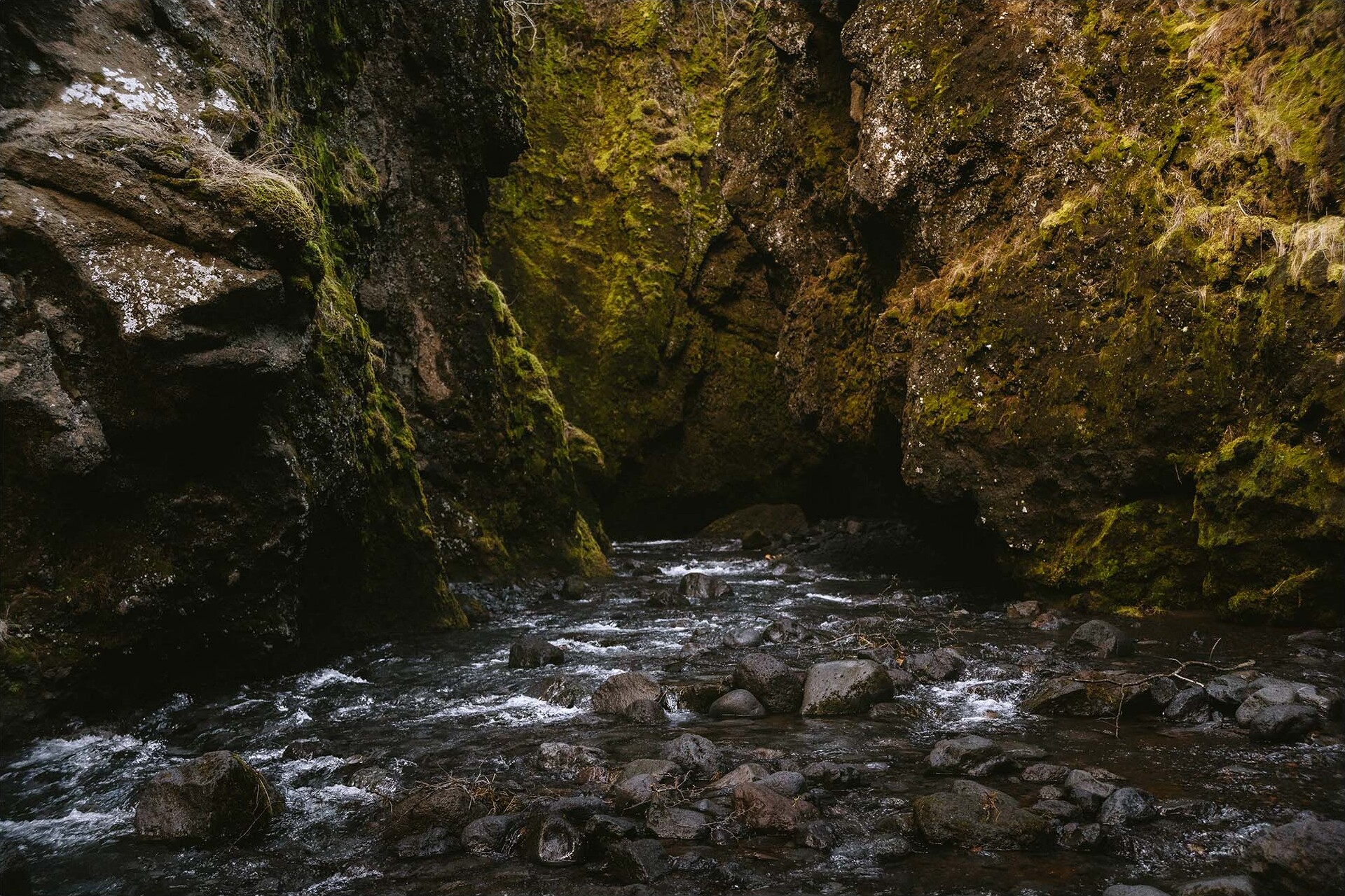 Iceland — Nauthusagil Canyon