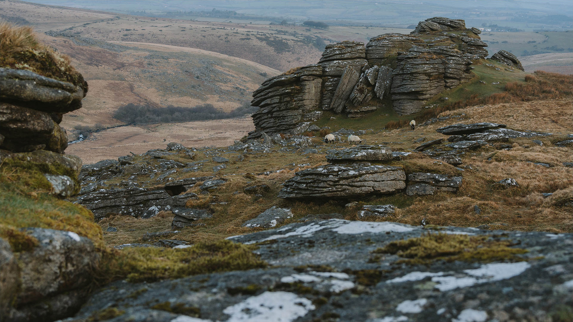 Black Tor Camp