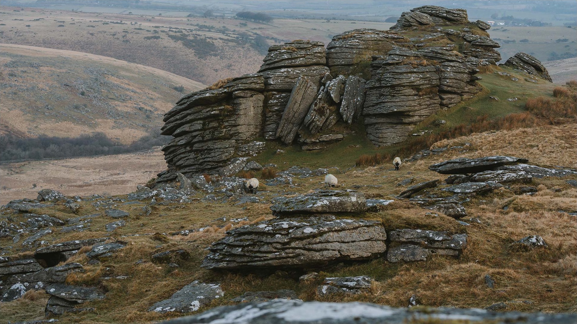 Black Tor Camp
