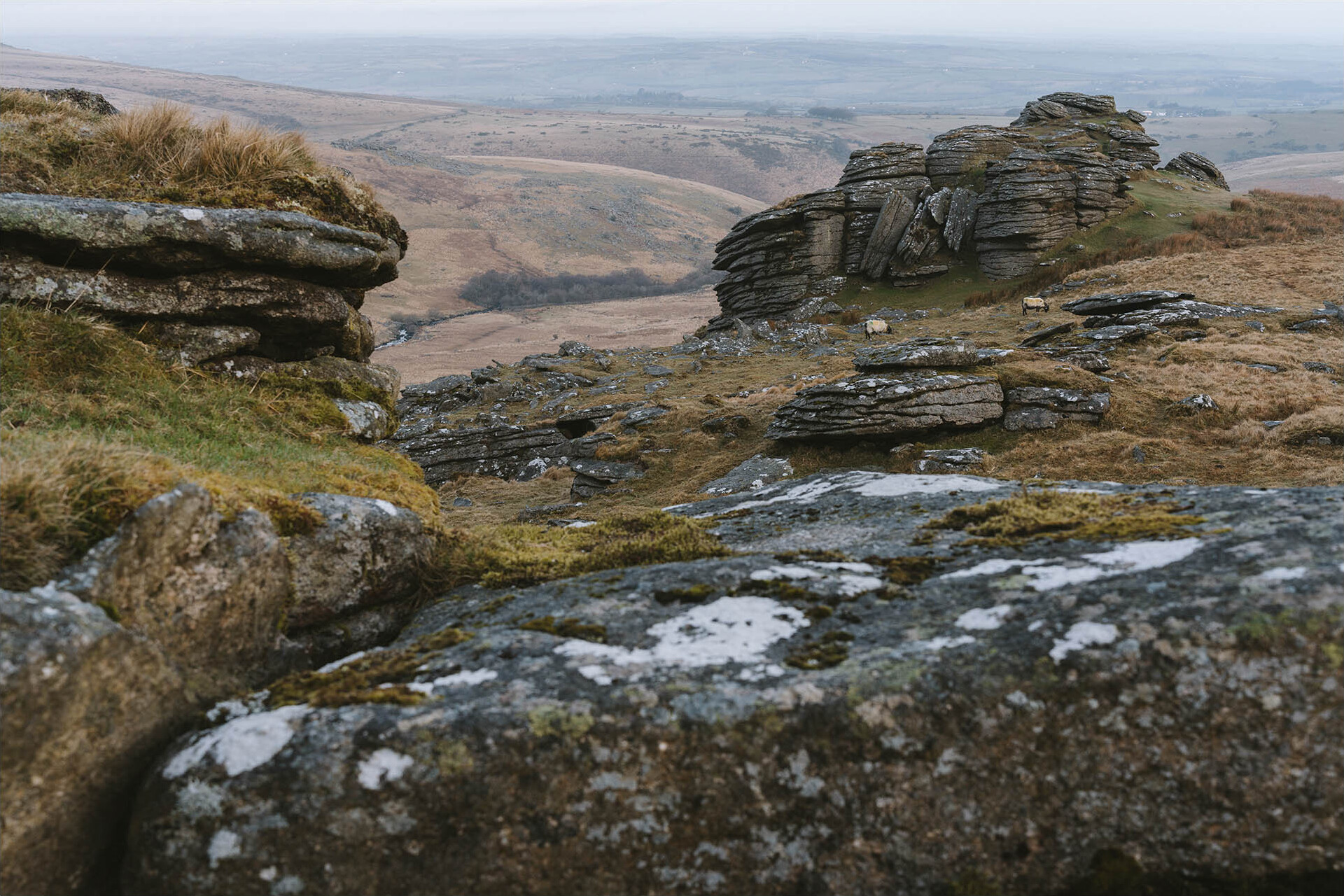 Black Tor Camp