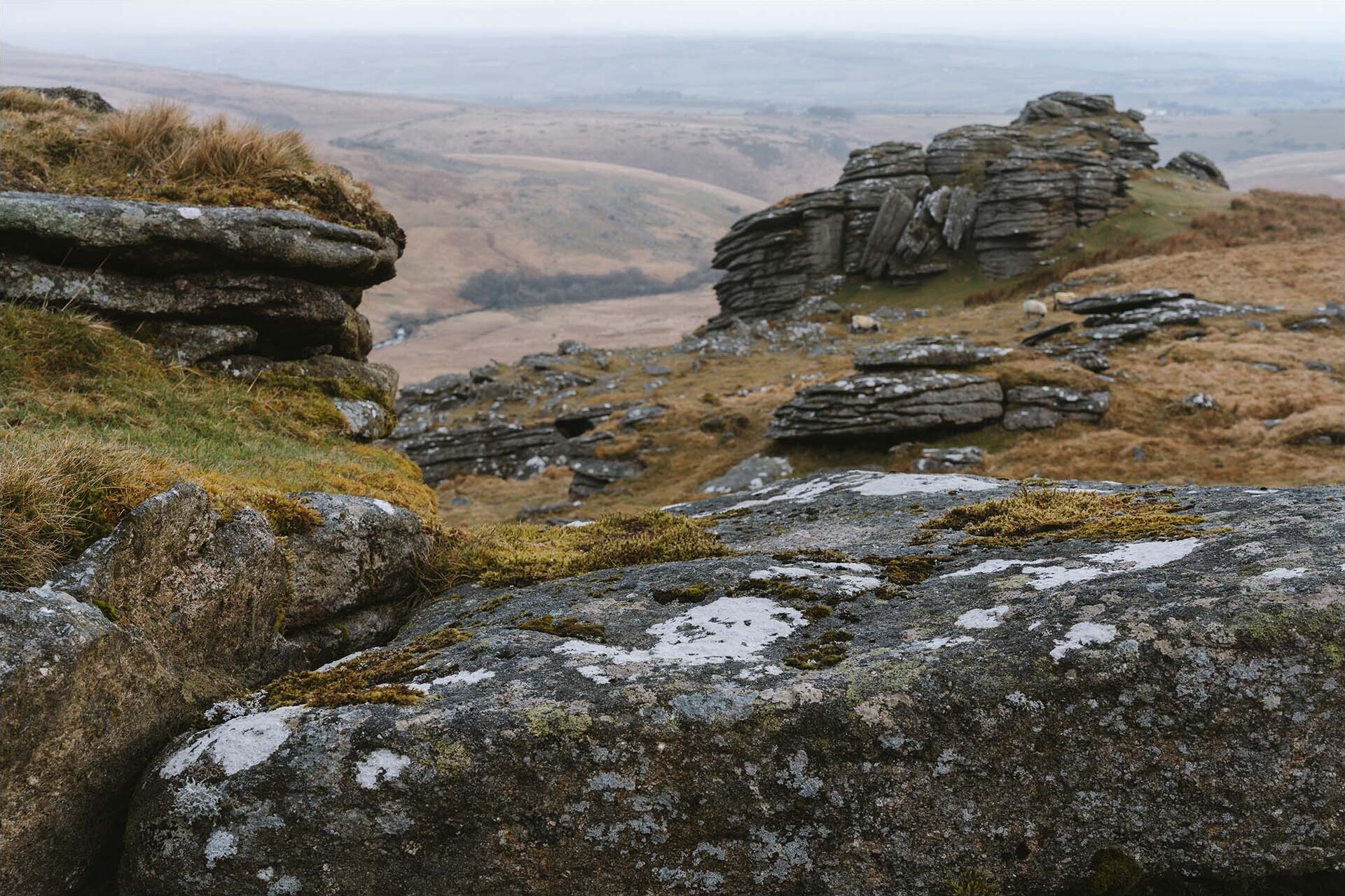 Black Tor Camp