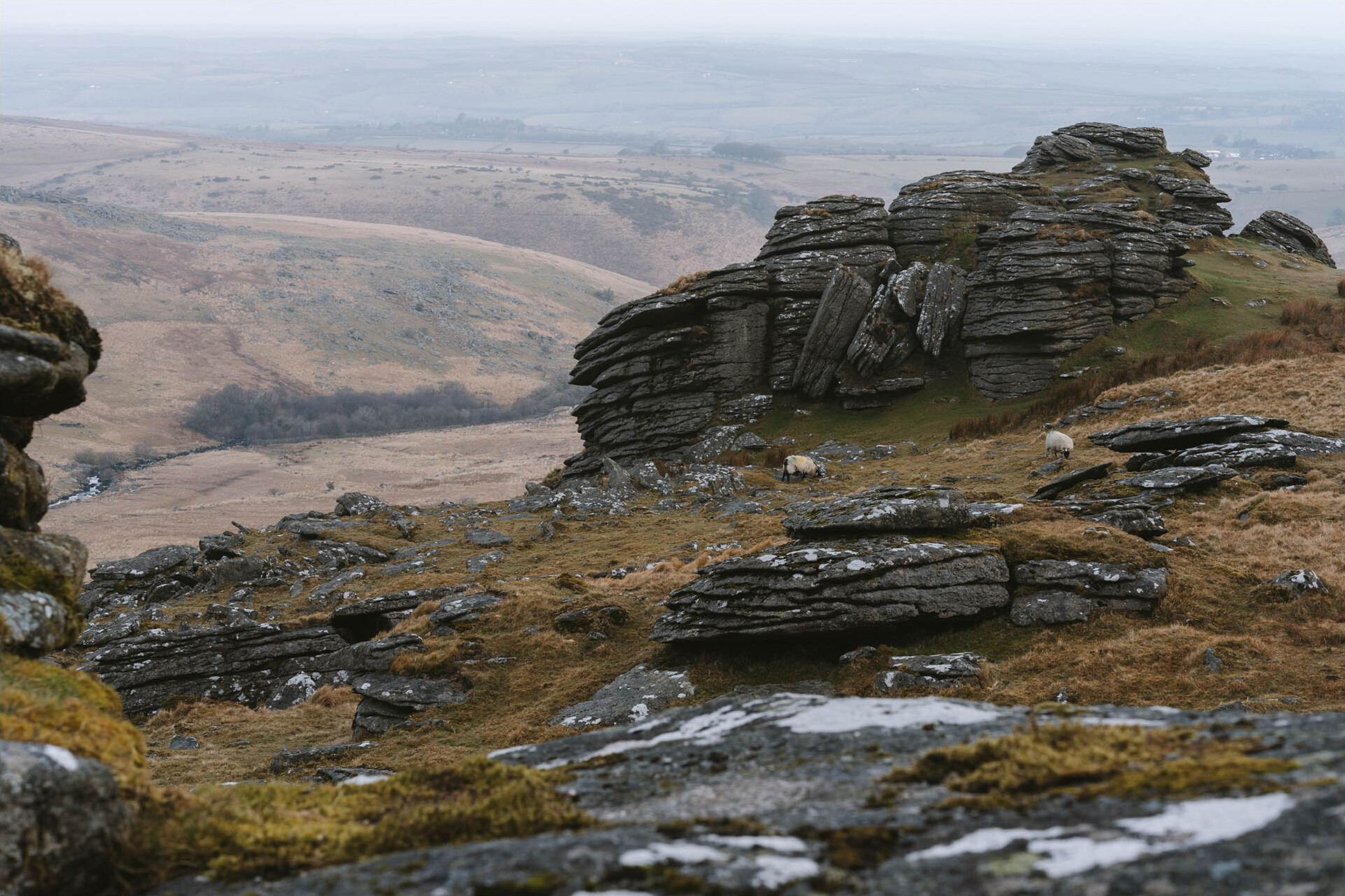 Black Tor Camp