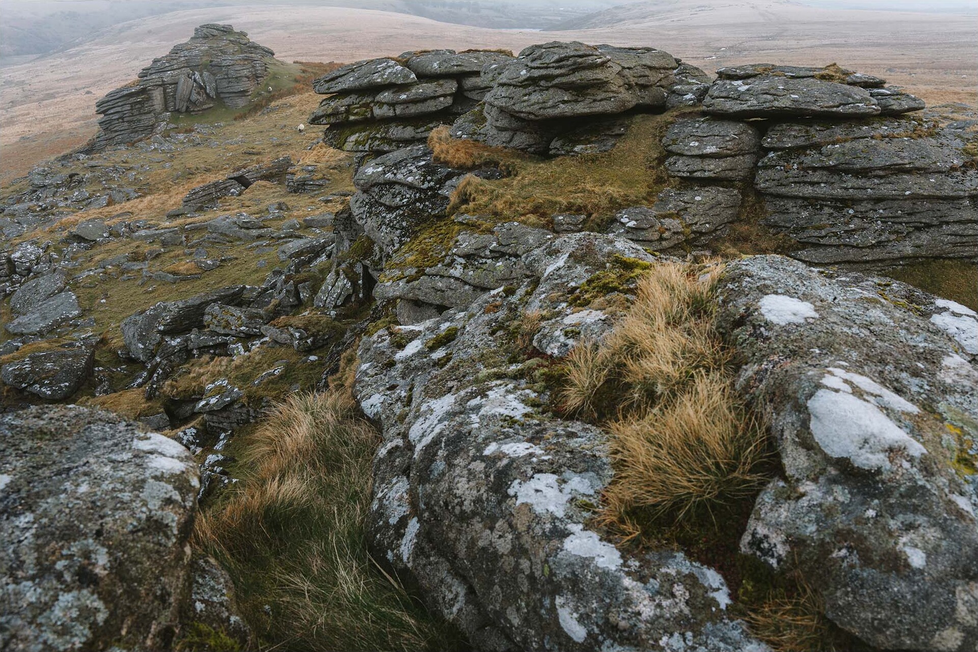 Black Tor Camp
