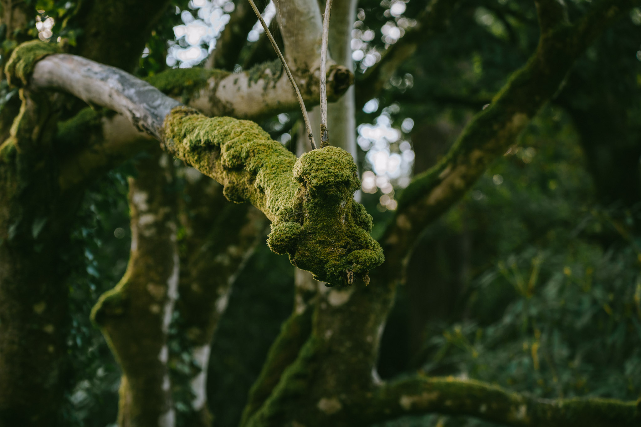 Fjallraven Classic UK 2025 — Part 1