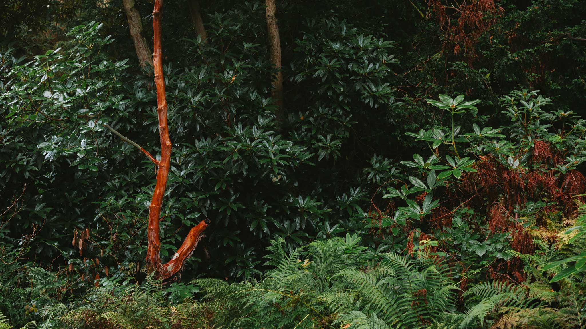 Fjallraven Classic UK 2025 — Part 1