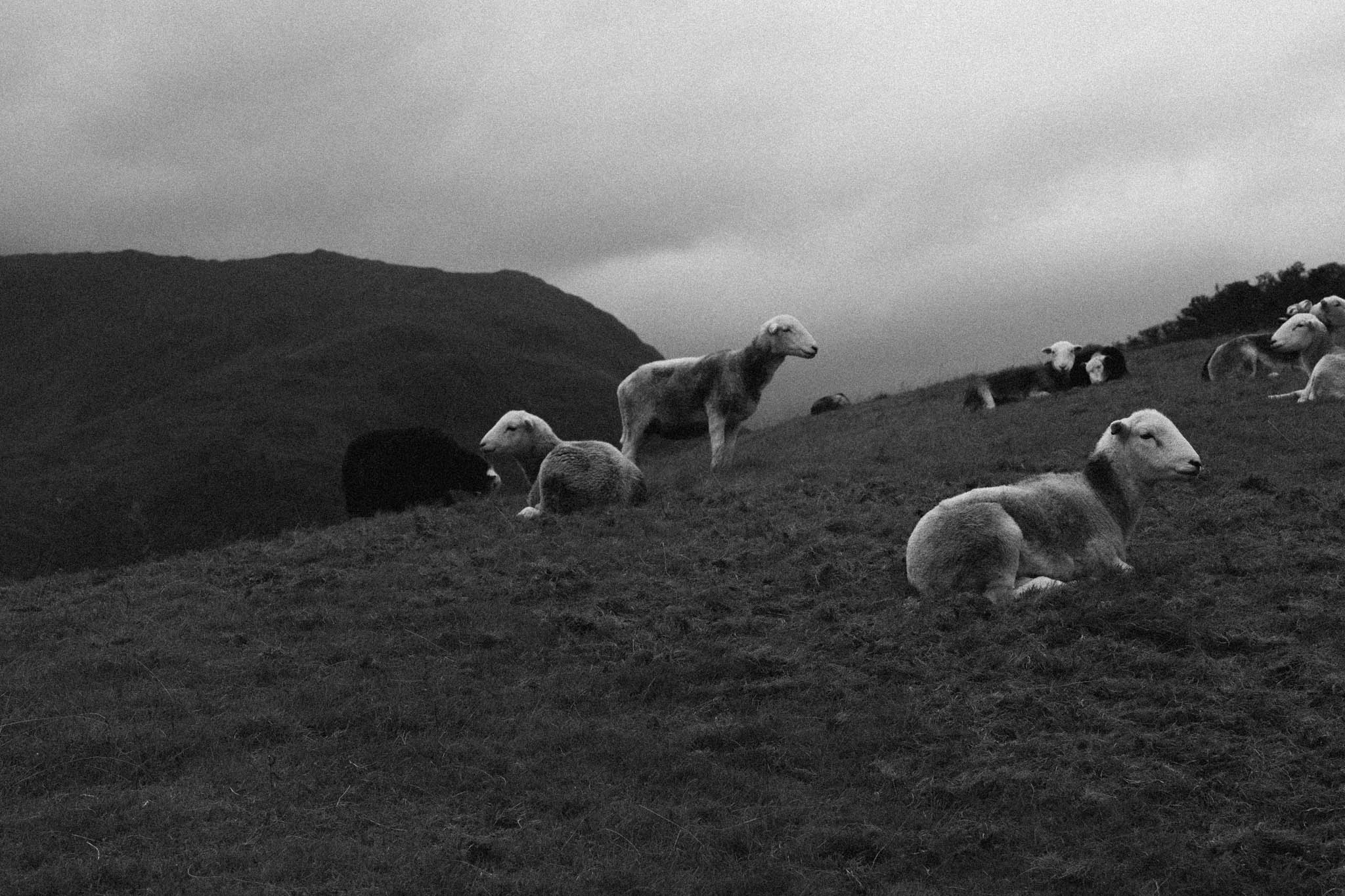 Fjallraven Classic UK 2025 — Part 1