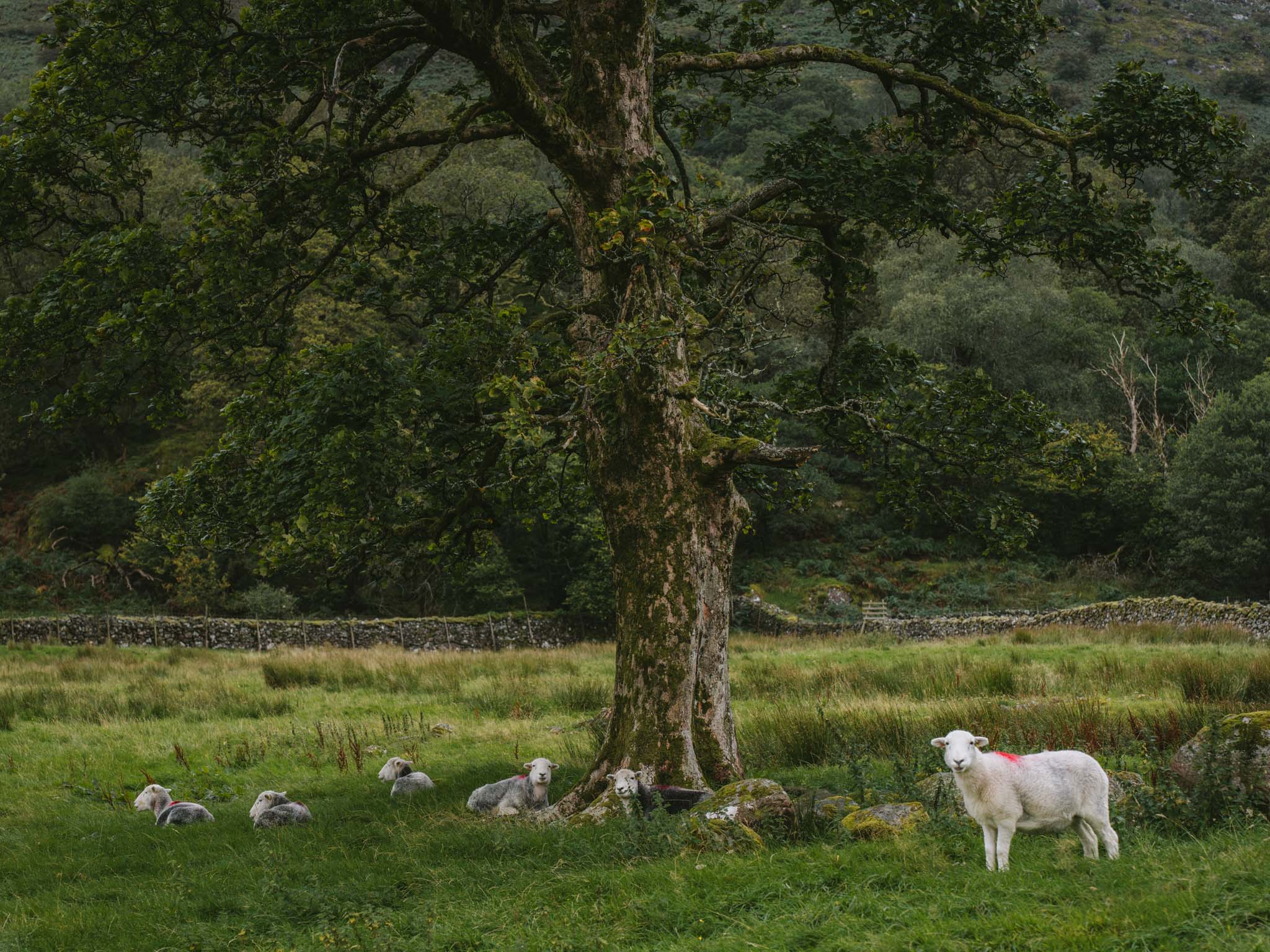 Fjallraven Classic UK 2025 — Part 1