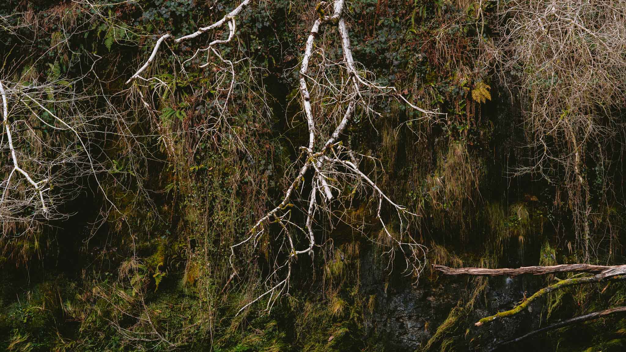 Waterfall Country: South Wales